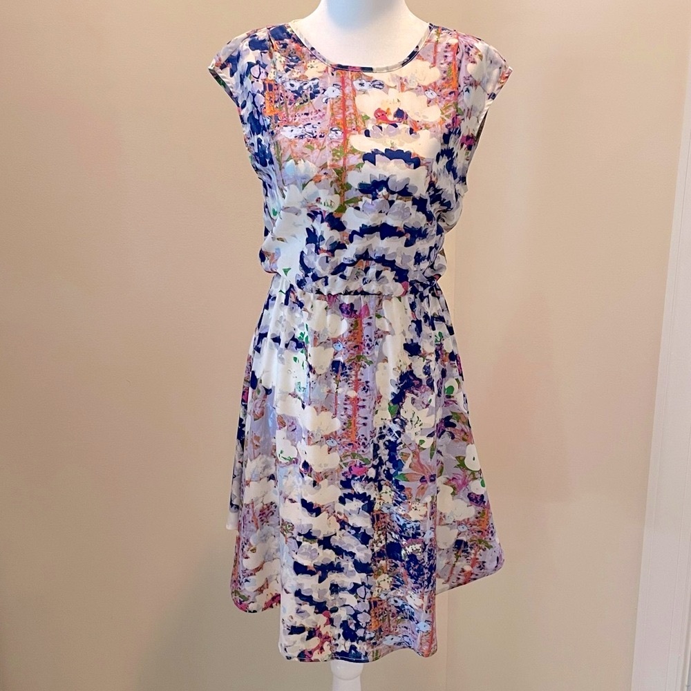 Collective Concepts Dress